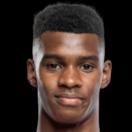 维切塔